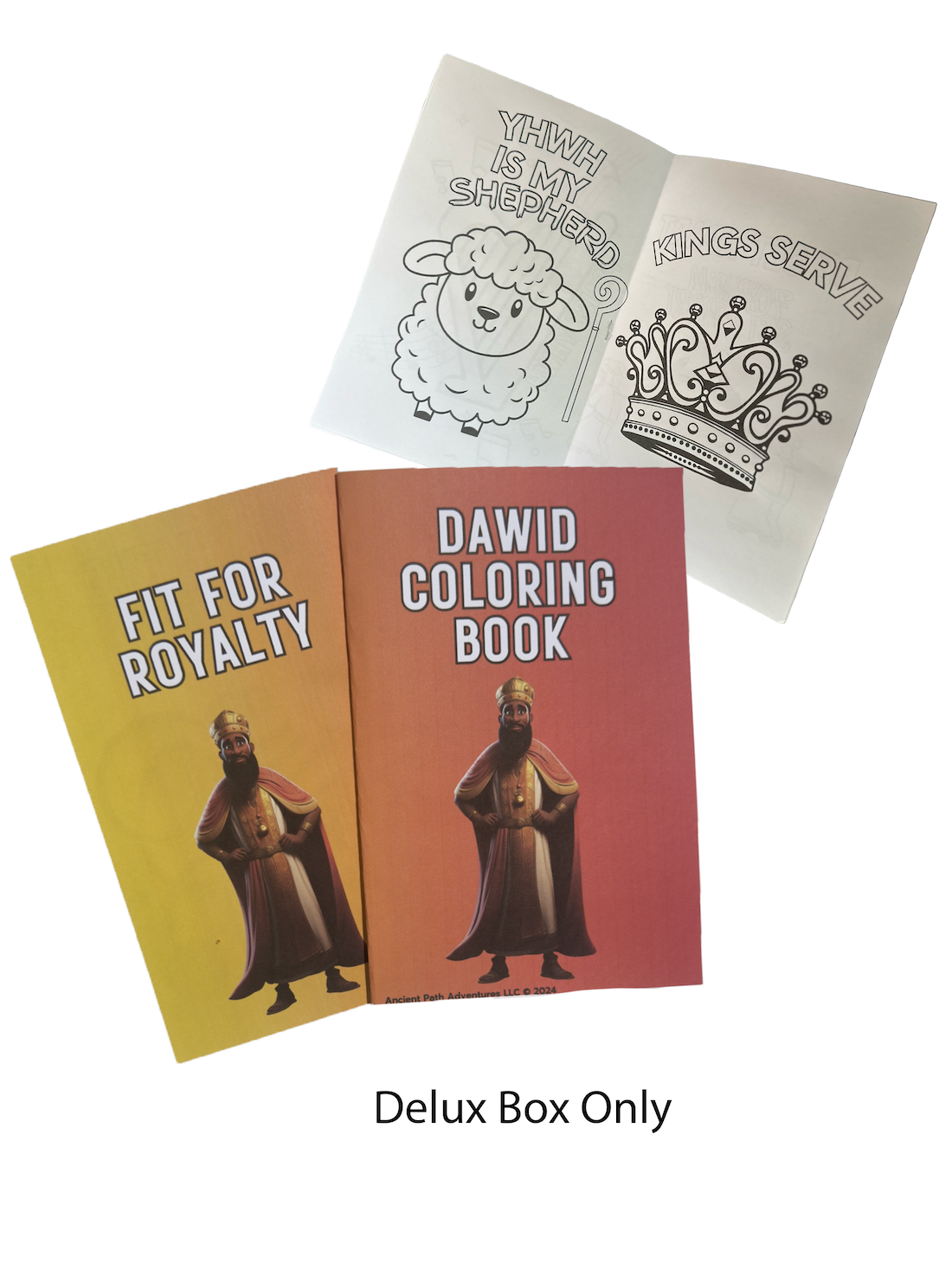 Dawid Bible Activity Box