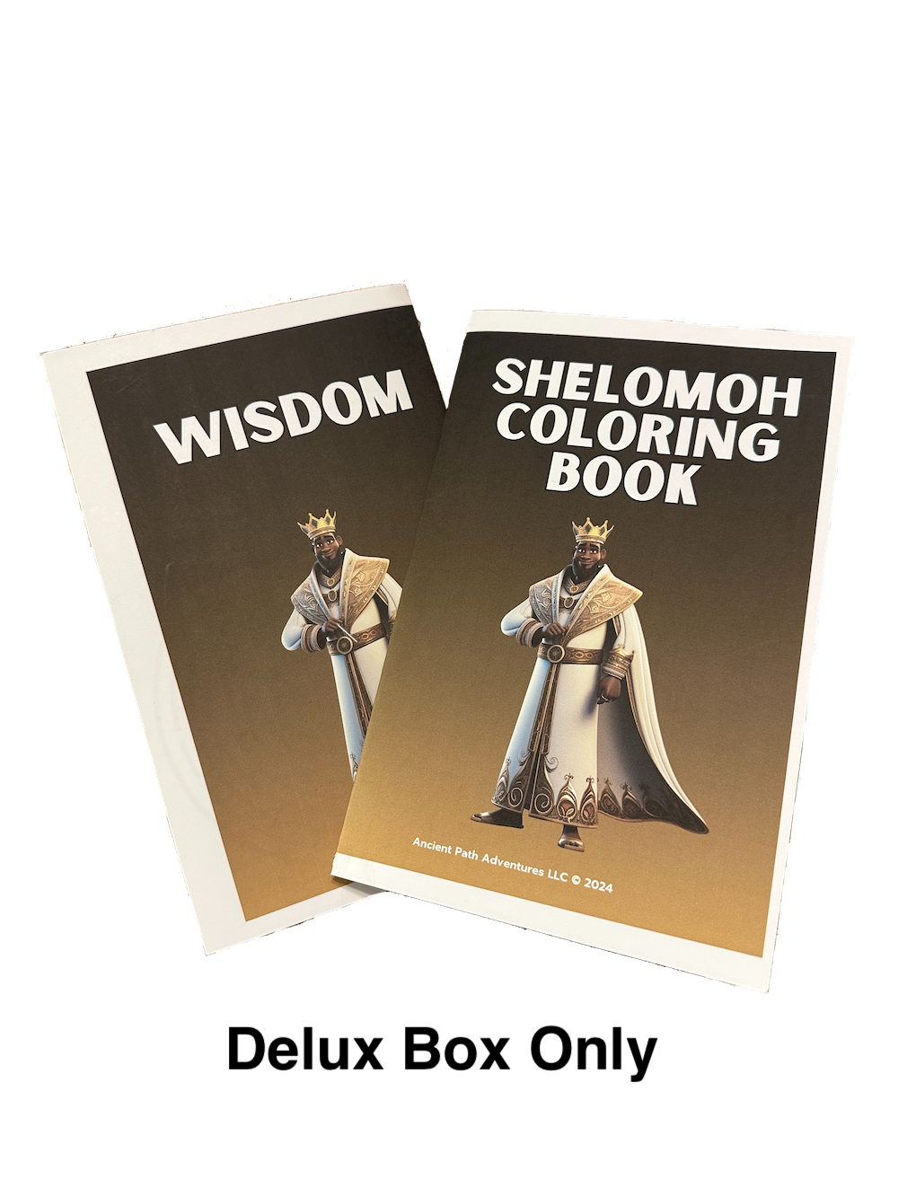Shelomoh (Solomon) Bible Activity Box